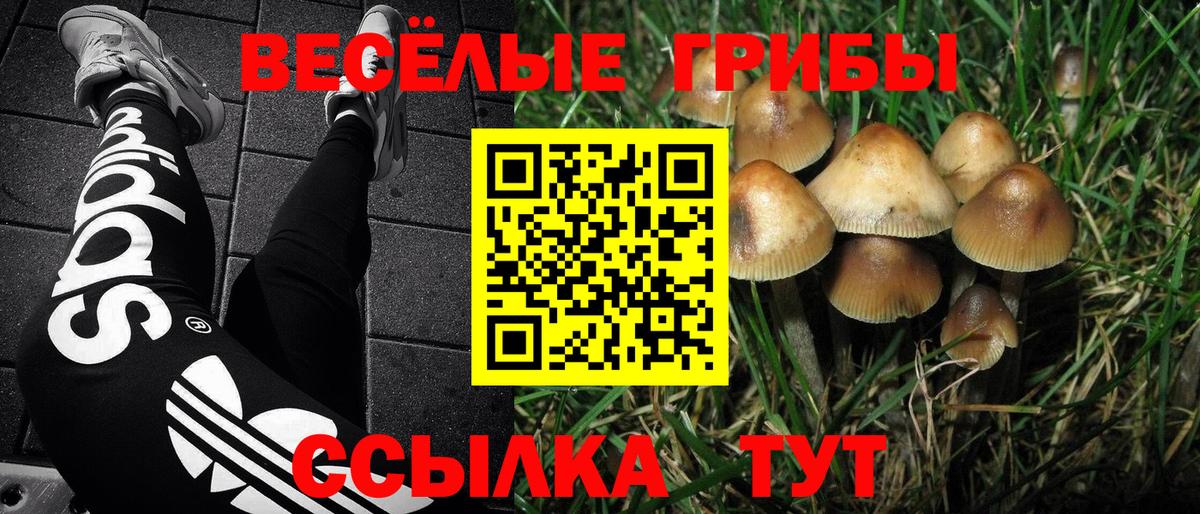 Псилоцибиновые грибы MAGIC MUSHROOMS Кинель