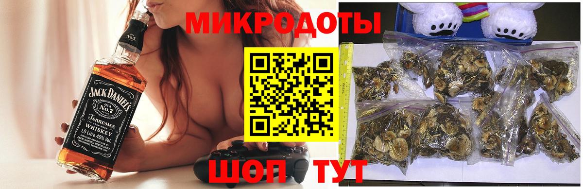 Кинель  Галлюциногенные грибы Psilocybine cubensis  Вход с VPN 
